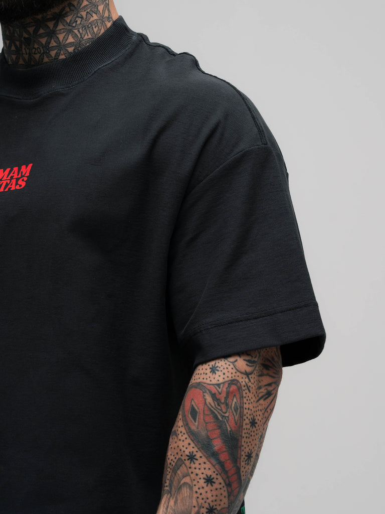 Camiseta Box Mith Comam Frutas Pizza Shop Chumbo